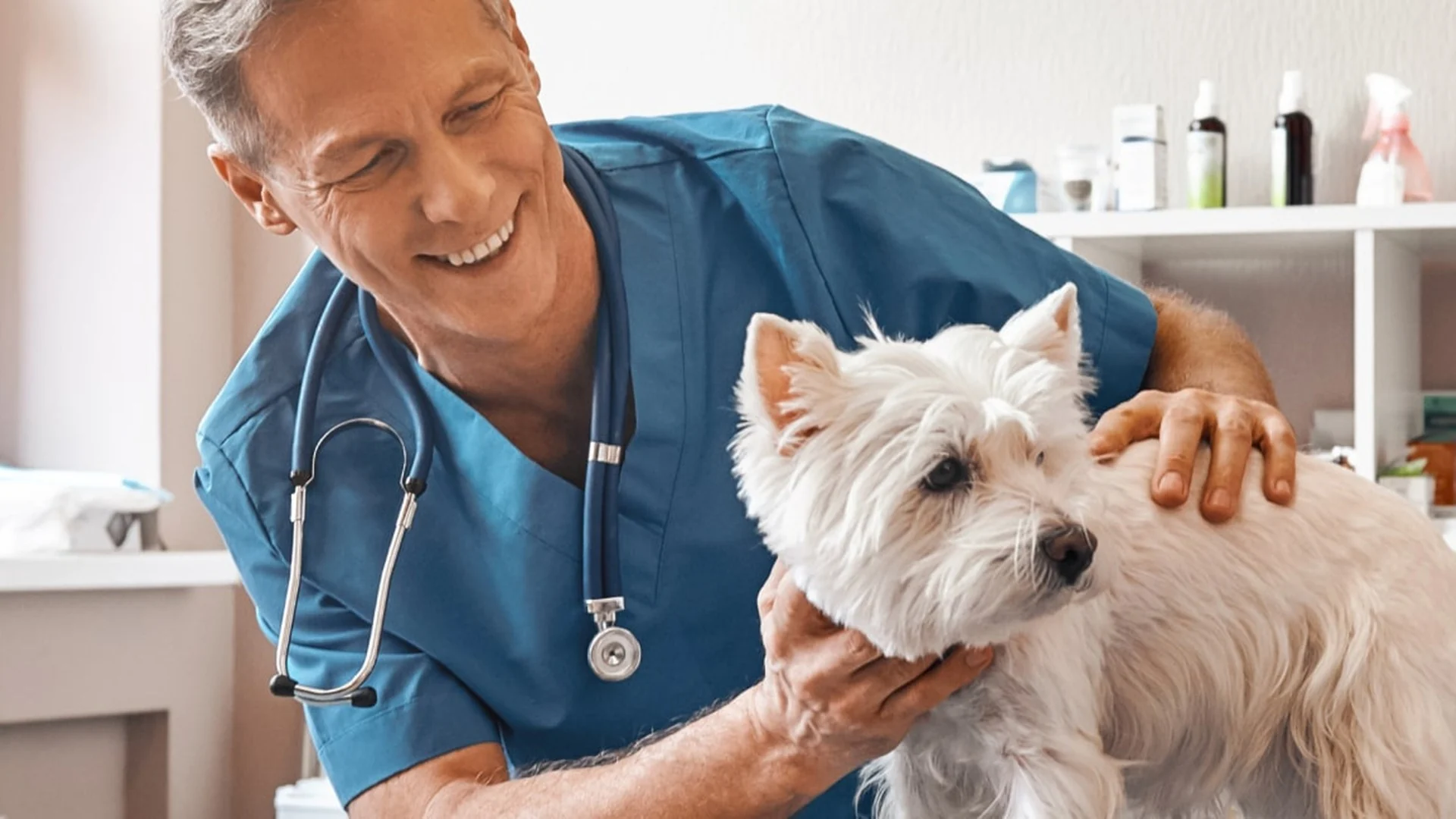 Veterinary industry